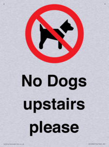 No Dogs upstairs please 